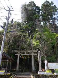 田子浦藤波神社