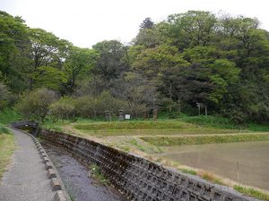 阿比多神社