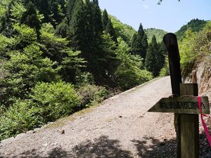 権現神社