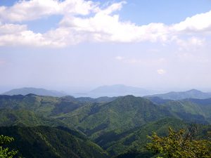 権現神社