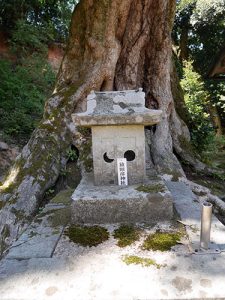 信露貴彦神社