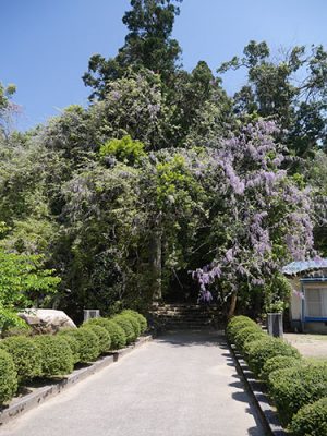 磯部神社