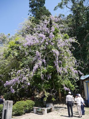 磯部神社