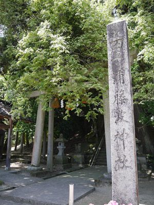 田子浦藤波神社