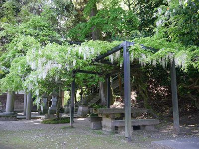 田子浦藤波神社