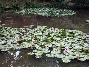 金沢神社