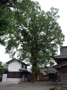 神明神社（上総社）