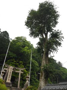 鹿蒜神社