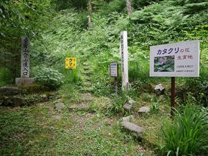 新羅神社