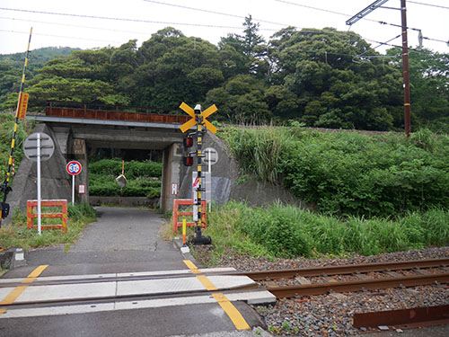 東郷村 (福井県敦賀郡)