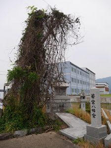 若宮八幡宮