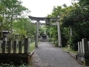 神杉伊豆牟比咩神社