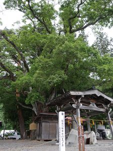 飯島八幡神社