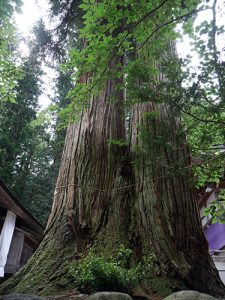 白川八幡神社