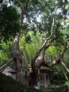 八幡神社