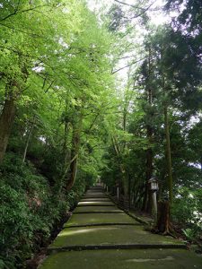 白山比咩神社