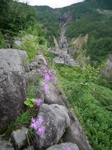 白山比咩神社