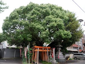 常葉神社