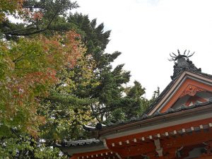 金沢神社