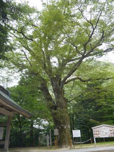 長田神社