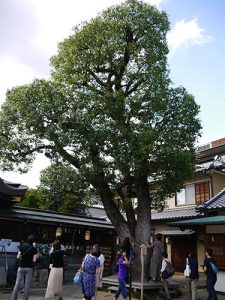 晴明神社