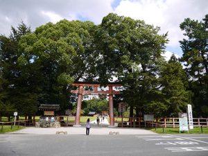 賀茂別雷神社