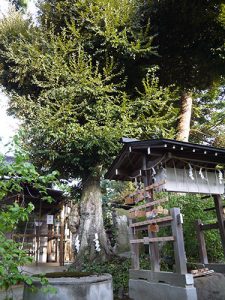 田井菅原神社