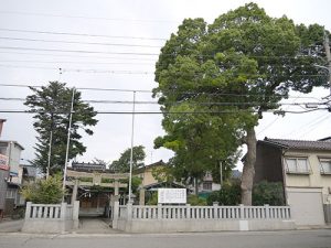 藤棚白山神社