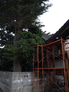 藤棚白山神社