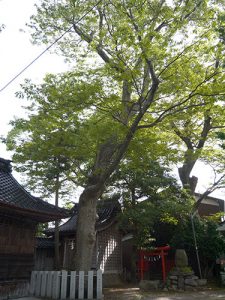 猿丸神社