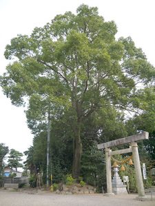 都波岐奈加等神社