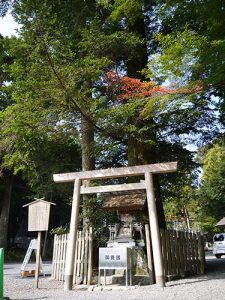 椿大神社