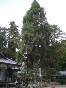 大村神社