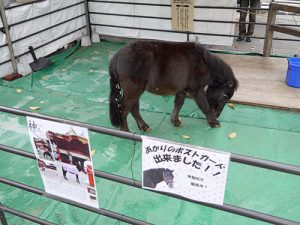 神田神社