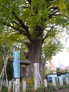 芝東照宮