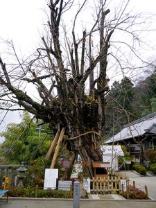 葛城一言主神社