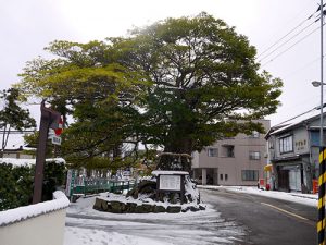 国神神社