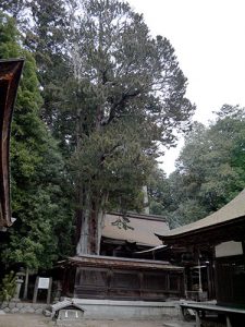 油日神社