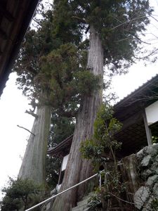 陽夫多神社