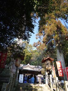 岡八幡宮