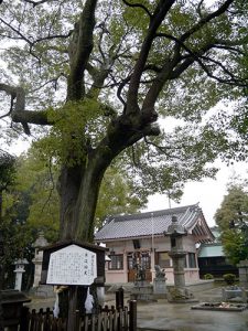 大神神社