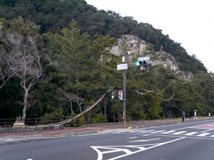 花窟神社