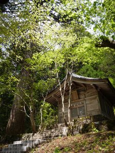 雄山神社中宮祈願殿