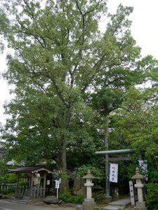 須天熊野神社