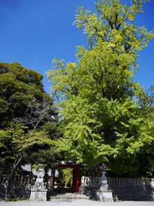 一之宮貫前神社