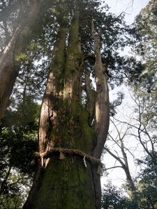 白山比咩神社