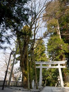 白山比咩神社