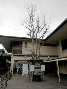 新潟白山神社