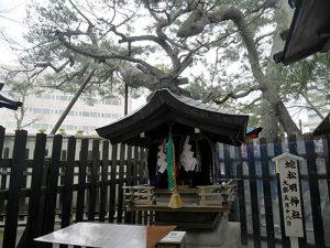 新潟白山神社