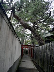 新潟白山神社